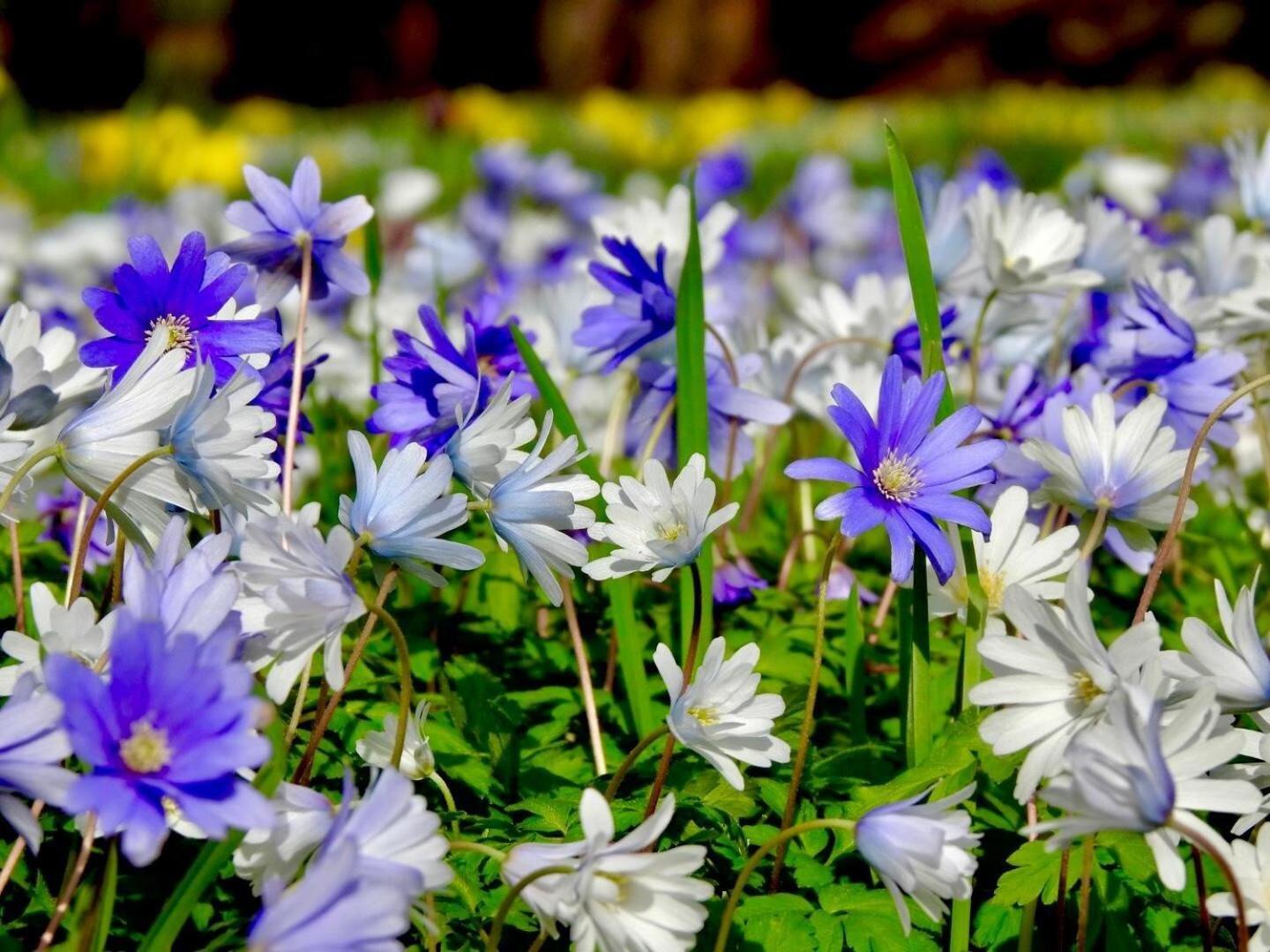 Thornton Manor - Holiday Cottages And Apartments Heswall Cameră foto
