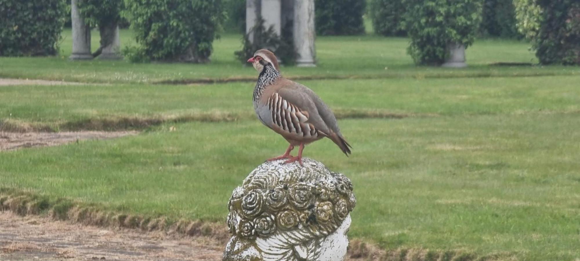 Thornton Manor - Holiday Cottages And Apartments Heswall Cameră foto